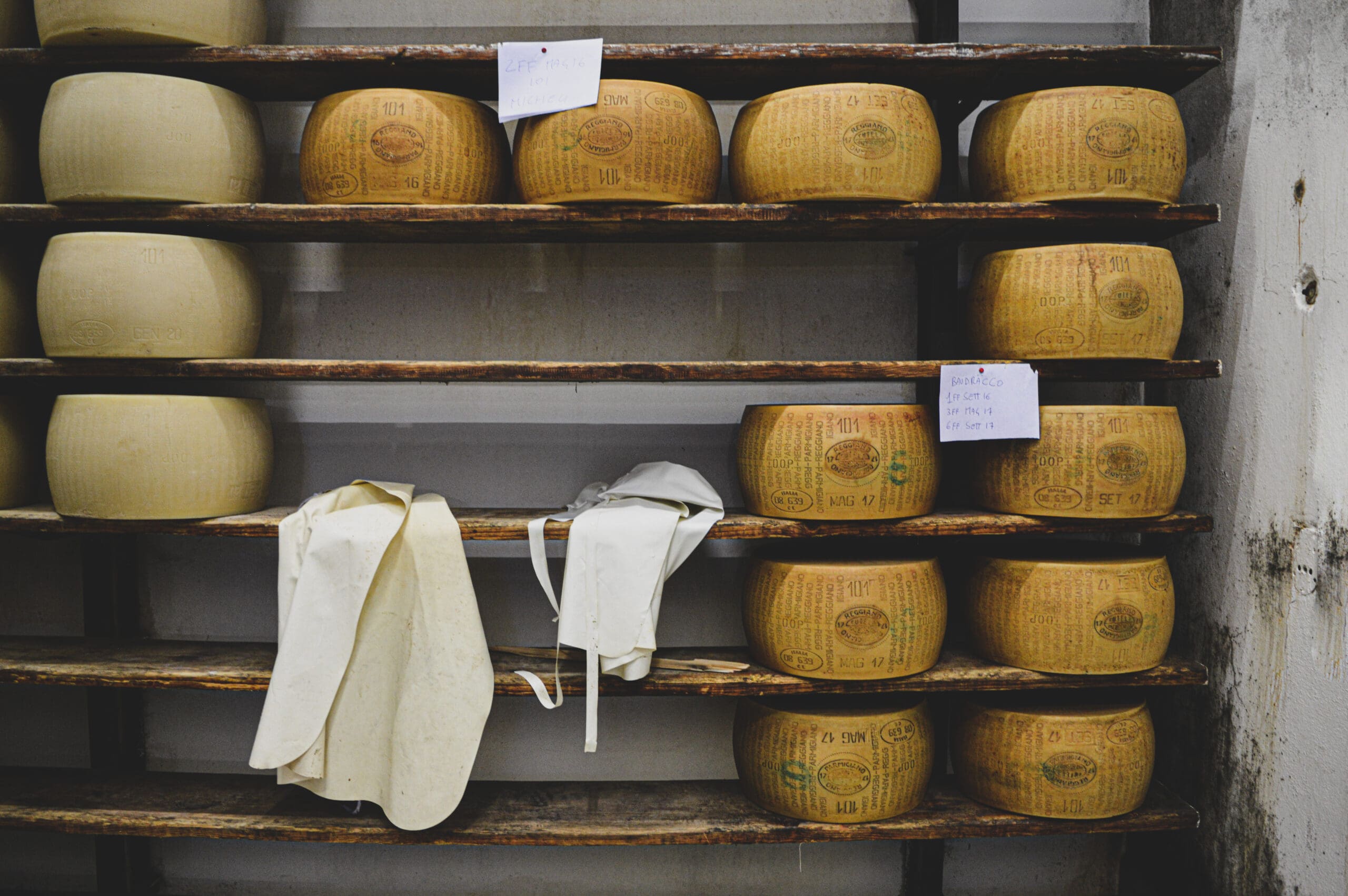 Aging wheels of Parmigiano Reggiano on wooden shelves in an Italian cheese factory