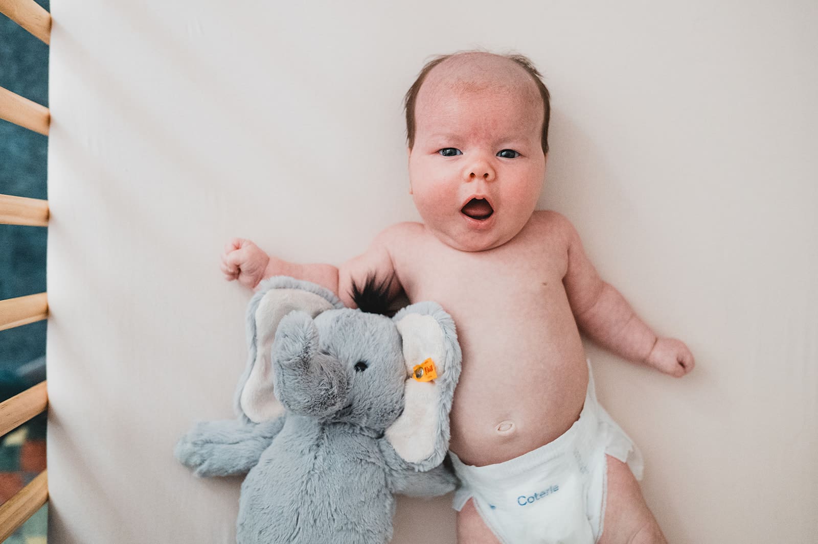 newborn lying on bed next to stuffed animal during in home newborn photography session