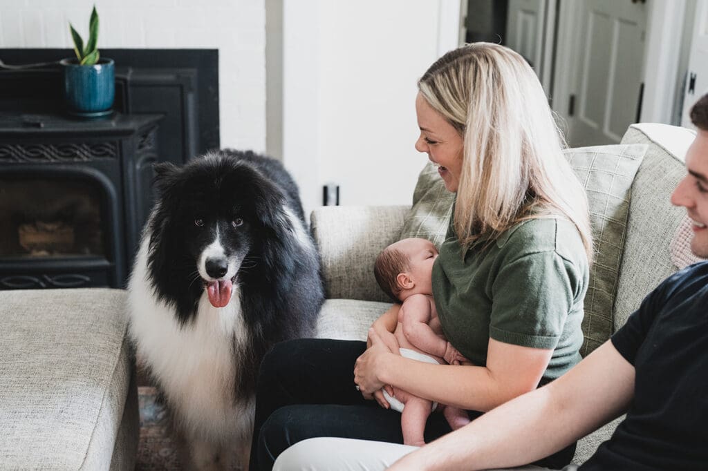 mother feeding newborn in living room with dog during in home newborn photography session