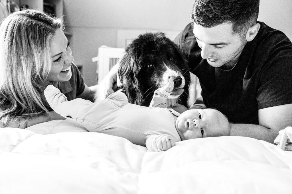 family on bed with newborn and dog during in home newborn photography session